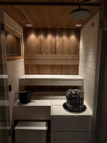Sauna, Levi Aurora Sky in Levi