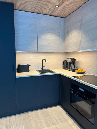 Facilities, Levi Aurora Sky in Levi