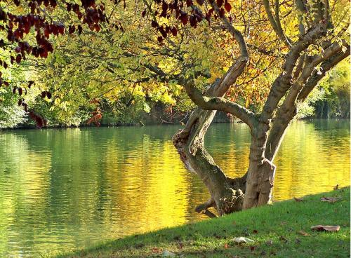 Paris - Bords de Marne - Location saisonnière - Saint-Maur-des-Fossés