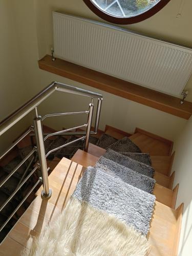 ΑΡΧΟΝΤΙΚΟ ΜΑΝΤΕΙΟ in 만테이오