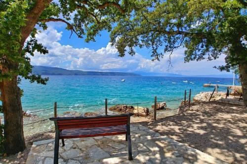 Beautiful stone villa with swimming pool, sauna and large garden by Traveler tourist agency Krk ID 2 in Gabonjin