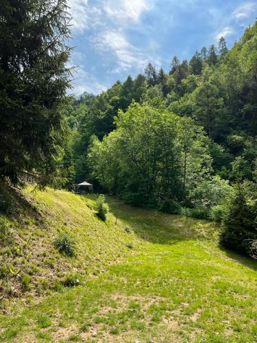 B&B Il Mulino alla Busa