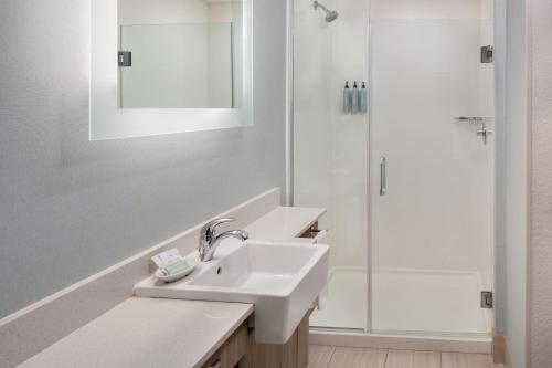 SpringHill Suites by Marriott New Smyrna Beach - 화장실