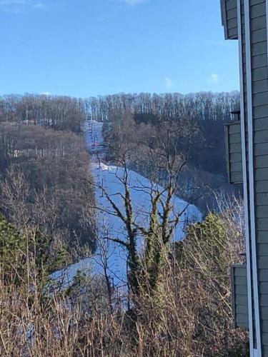 Comfy Condo With Amazing View of Gatlinburg and the Smokies