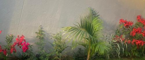 Heri Courts photo 2