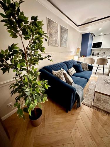 Apartamenty Kielce- APARTAMENT SAPHIRE przy zalew kielecki, faktura, parking, centrum