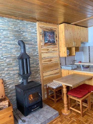Apartmani Košuta- Ljiljana Đokanović - image 7
