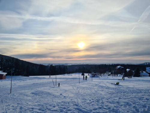 Cihlářka - Liščí doupě 110