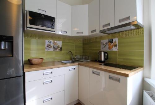 Great Amber Apartment - image 2