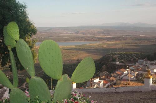 Casa Rural Maestre