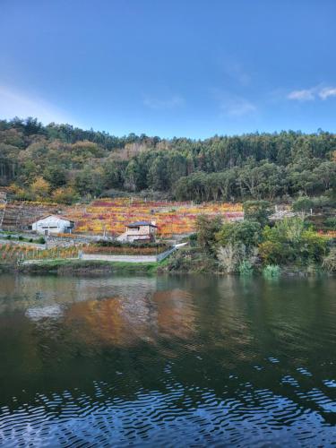 A környék, SAMPAIO in O Savinao- Santo Estevo De Ribas De Mino