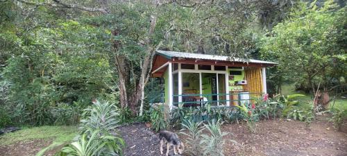 Casita Maripier Colón (Casita Maripier Colon) in Colon