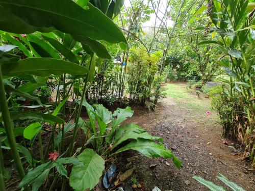 Destino Corcovado Lodge