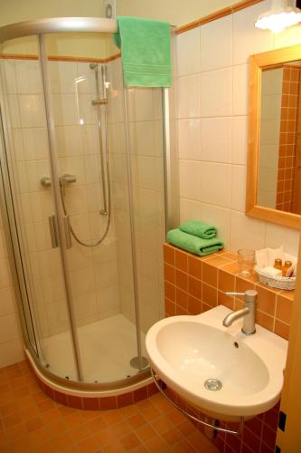 Hotel Koníček - image 7
