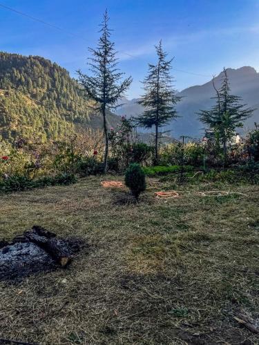 The VOID - Tirthan Valley, Gushaini (zdjęcie 8)