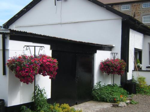 Giardino, Faythe Guesthouse in Wexford