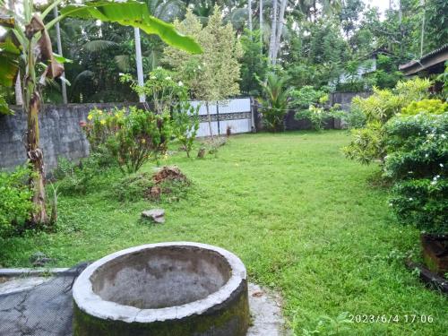 Coco Cabins by Thush, Bentota (foto 8)