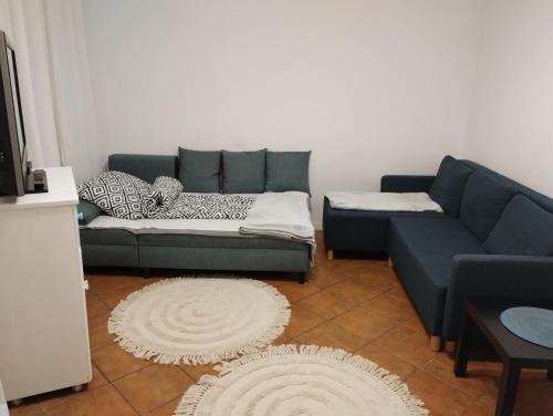 Apartament - Mieszkanie Samodzielne, Inowrocław (foto 2)