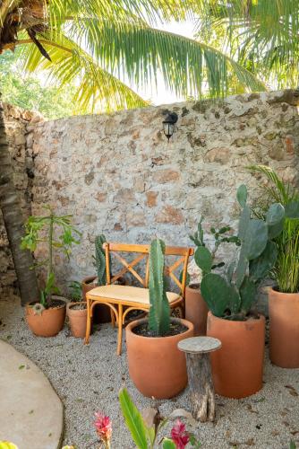 Casa Cactus Buenavista