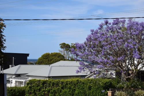 Kilátás, FERN in Gerringong