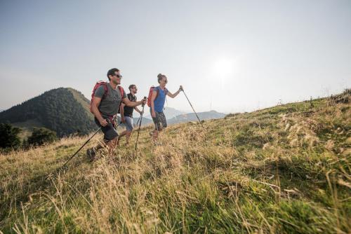 Ebner's Waldhof am See Resort & Spa - image 2