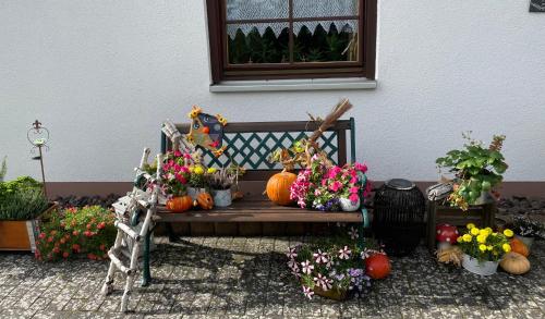 Ferienwohnung in der Vulkaneifel "Opp der Holl"