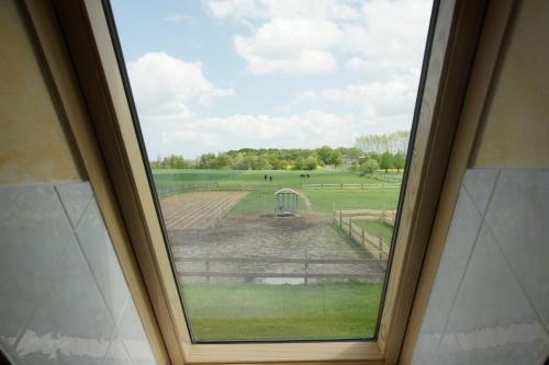 Skats, Ferienhof Willi in Kemnitz (Mecklenburg-Vorpommern)