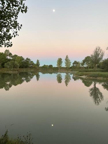 Mobilhome 4 L'héberge du lac - Location saisonnière - Queyrac