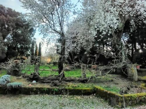 Agriturismo la Romanella 3