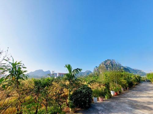 Ninh Binh Green Farmstay