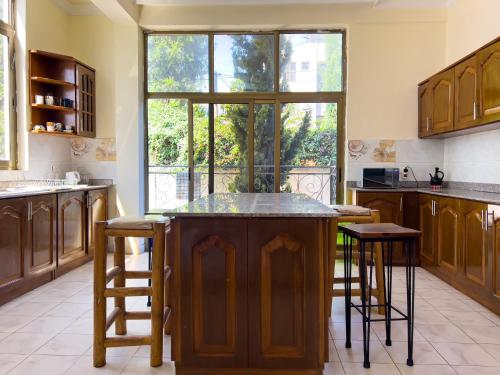 Cocina, Mad Vervet Backpackers Hostel in Addis Abeba