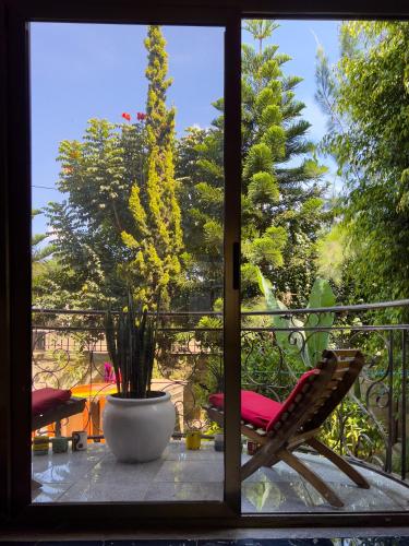 Mad Vervet Backpackers Hostel in Addis Abeba