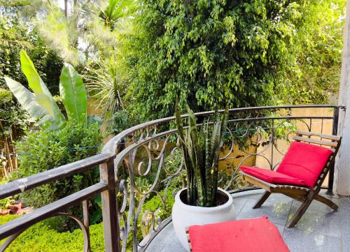 Mad Vervet Backpackers Hostel – Addis Abeba, NY