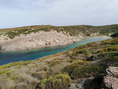 Il Lentischio - Rosmarino