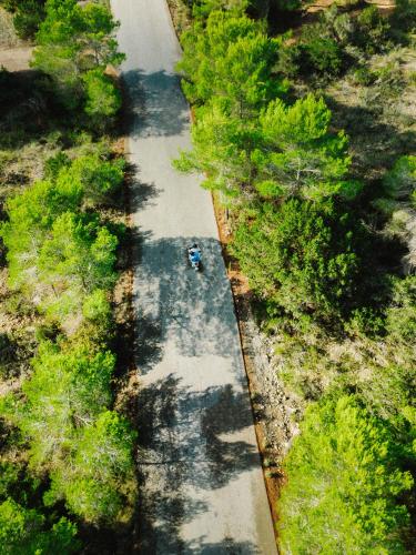 7Pines Resort Ibiza - image 4