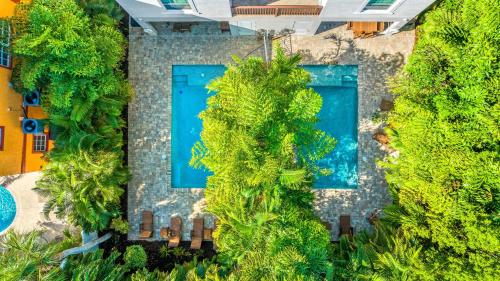 The Big Kahuna image