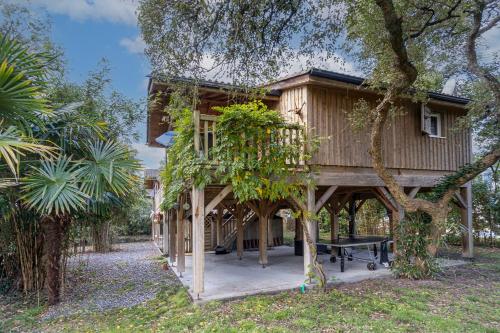 Les chats perchés 400m plage D - Location saisonnière - Labenne