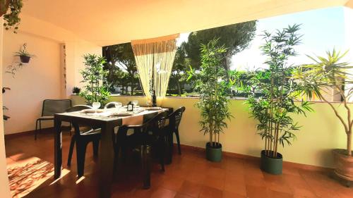  Apartment Amalia in Albufeira