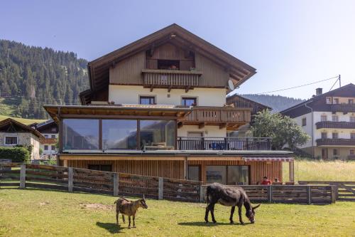 Apartmenthaus - Erlebenswert Bauernhof Gruber