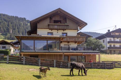  Apartmenthaus - Erlebenswert Bauernhof Gruber, Pension in Sankt Lorenzen im Lesachtal bei Birnbaum