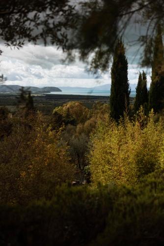 Boutique Hotel - Poggio ai Santi