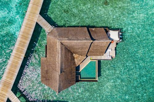 Ocean Suite with Private Pool image 9