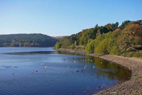 Apple Cottage: 19th Century Charm in Calder Valley