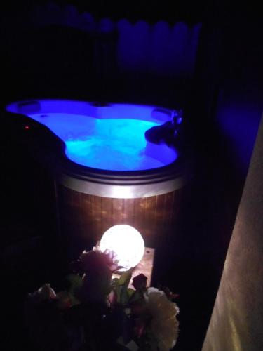 Gîte avec jacuzzi privatif dans un mas provençal (Gite avec jacuzzi privatif dans un mas provencal) in Allegre-les-Fumades