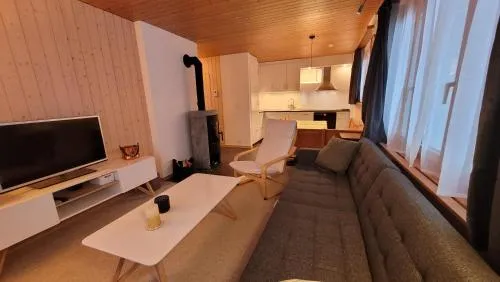 Chalet Meise in Obergesteln, Schweiz