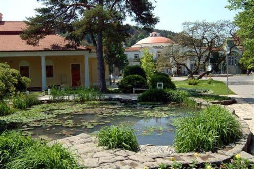 A környék, Ensana Esplanade near Pöstyéni repülőtér