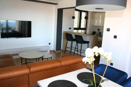 Apartment Terezija