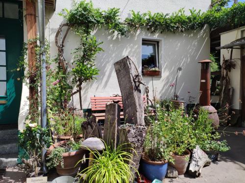 Gartenzimmer mit Straßenbahn zu Dom und Messe