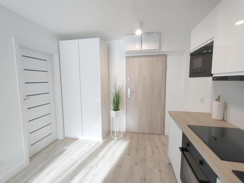 White Apartament Szklarska Poręba (White Apartament Szklarska Poreba) in Jakuszyce