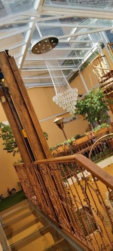 Chimborazo in Ριομπάμπα